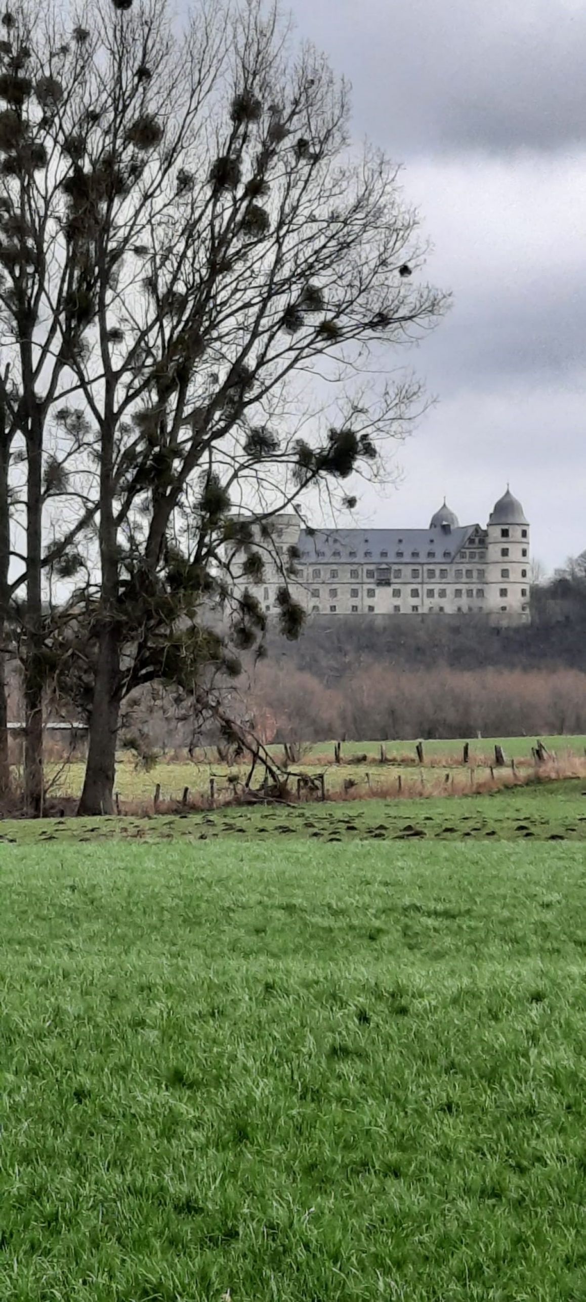 Anja Speckenheuer-Güntermann